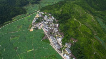 DJI_0036