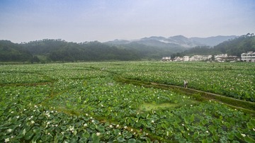 DJI_0044