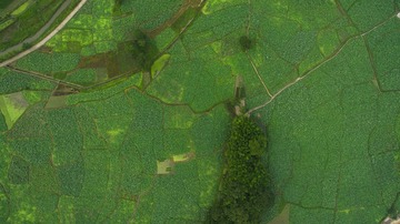 DJI_0060