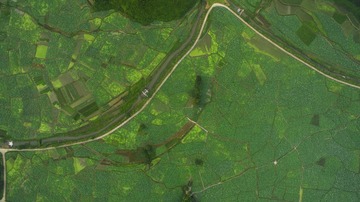 DJI_0061
