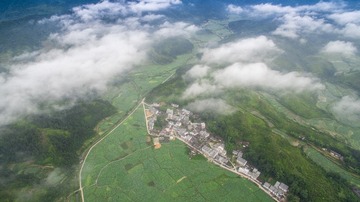 DJI_0064