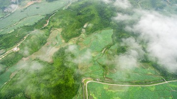 DJI_0077