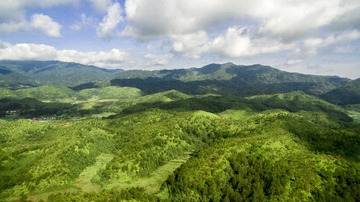 DJI_0004