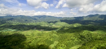 DJI_0005
