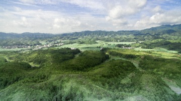 DJI_0007