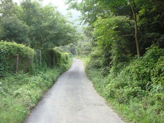 DSC01988.JPG