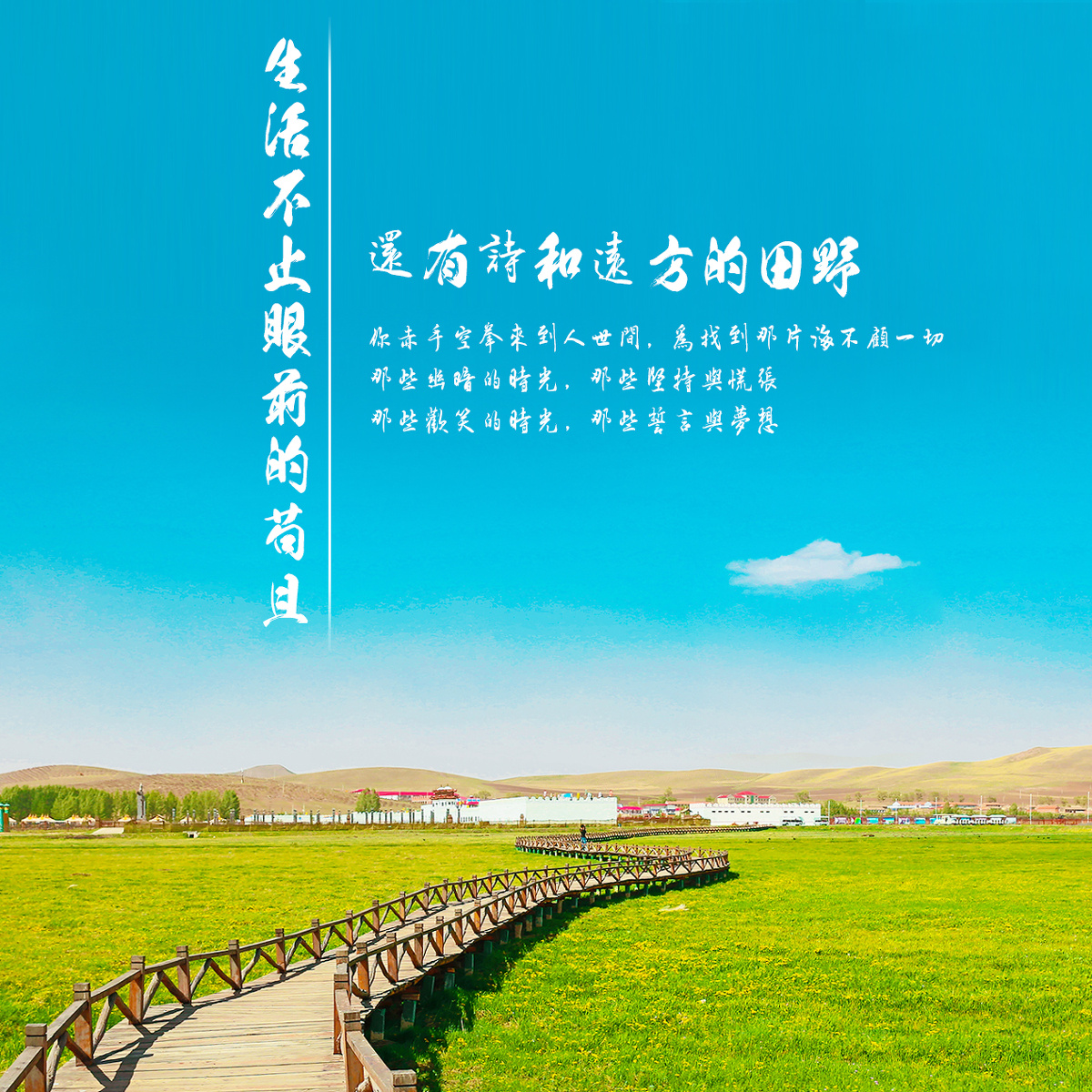 生活不知眼前的苟且