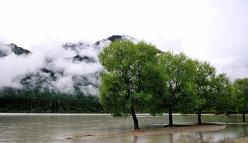 DSC_6959.JPG