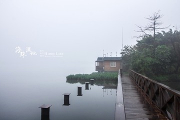 孤岛危机2
