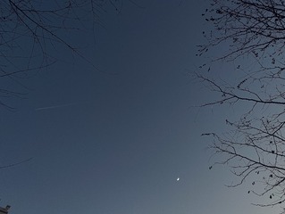 1000131251