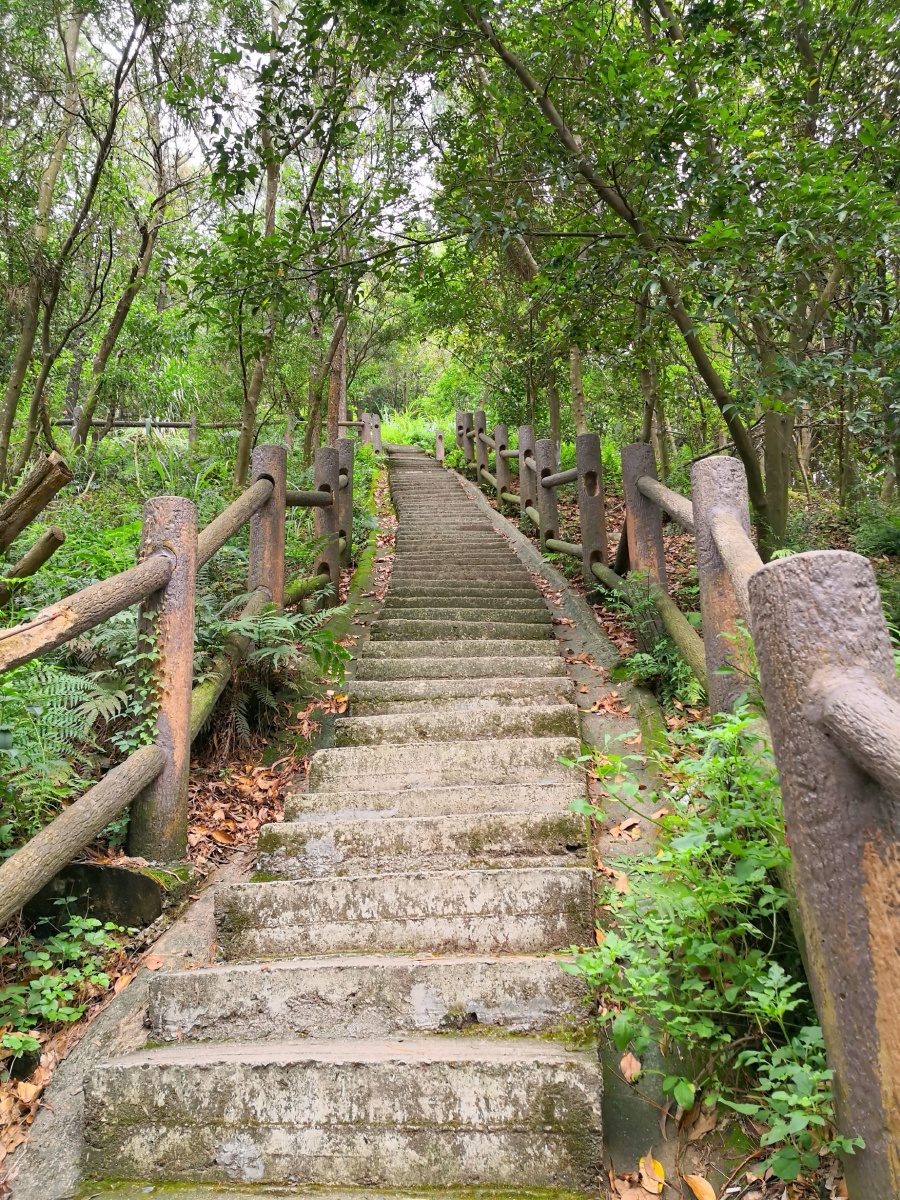 亚公顶森林公园