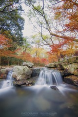 IMG_5401PS水印