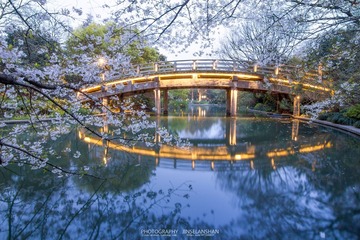 IMG_9463堆栈-编辑缩小水印