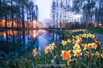 IMG_8842-44LRPS水印