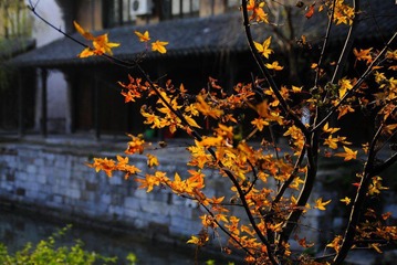 userid280978time20110119131654.jpg