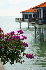 PPDSC08285.jpg