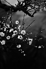 userid280978time20110227115546.jpg