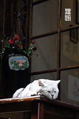 userid280978time20110707112531.jpg