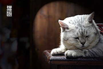userid280978time20110707113243.jpg