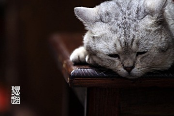 userid280978time20110707113451.jpg