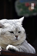 userid280978time20110707113742.jpg