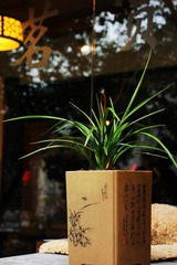 userid280978time20110322111135.jpg