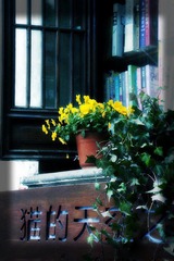 userid280978time20110322112052.jpg