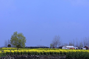 userid280978time20110408120008.jpg