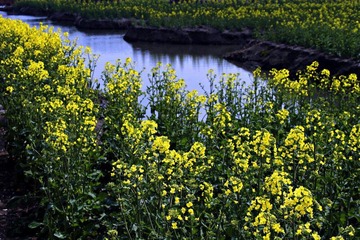userid280978time20110408120158.jpg