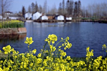 userid280978time20110408122103.jpg