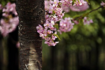 userid280978time20110328142719.jpg