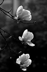 71d72afdgbcab4425e07f&690.jpg