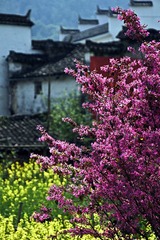 乡村纪事00012.jpg