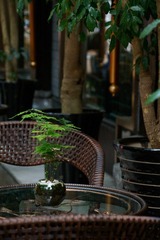 DSC00477.jpg