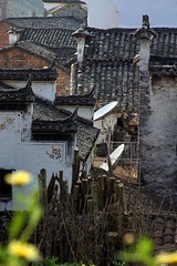 乡村纪事00017.jpg
