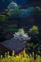 乡村纪事00020.jpg