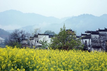 乡村纪事00035.jpg