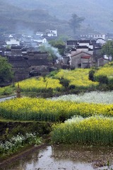 乡村纪事00036.jpg