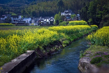 乡村纪事00039.jpg
