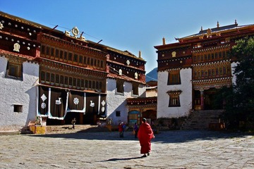 DSC09778.jpg