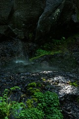 DSC08883.jpg