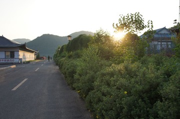 DSC08784.JPG