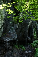 DSC08908.jpg