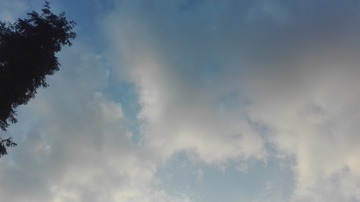 2487697