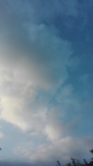 2487695