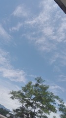 2535957