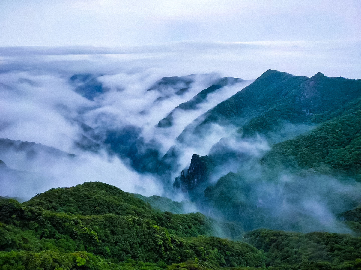 江山如画大概描述的就是这种风景吧这里是贵州梵净山
