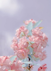 9A9BFA39-215F-4A28-BFC4-492530D795F4/L0/001