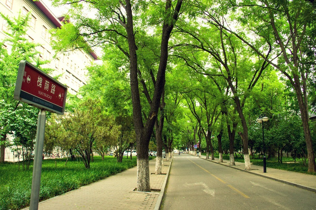 山大趵突泉校区