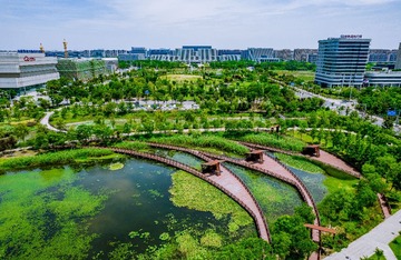 DJI_0212